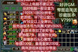 某宝2D优美画质精华版【凤舞天骄V8065端】200级新称号新地图属性坐骑VM一键单机端+隐盟视频教程+GM教程